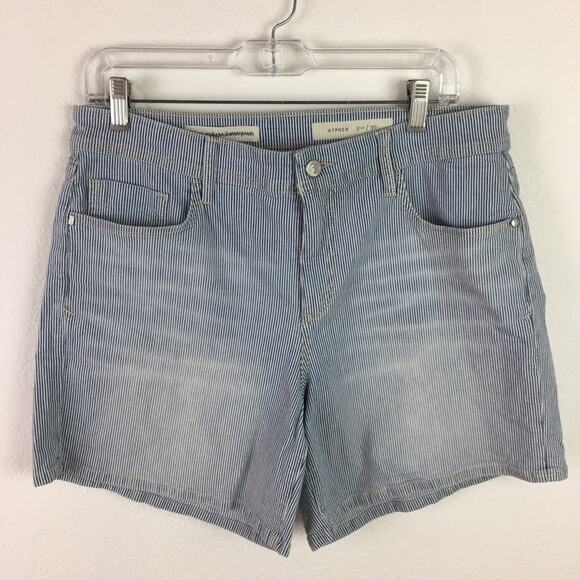 Pilcro & the Letterpress Blue Stripe Denim 6